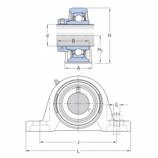 Подшипниковый узел на лапах HCP 206-19 IBU-IBB